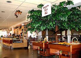 Piknik Wellness Hotel