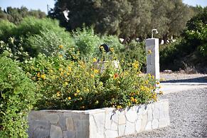 Kiotari Beach Apartments - Studios