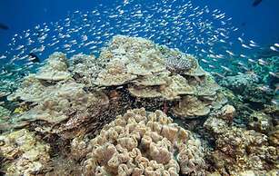 Hurawalhi Island Resort