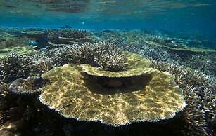 Hurawalhi Island Resort