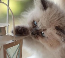 Quarrystone House B&B