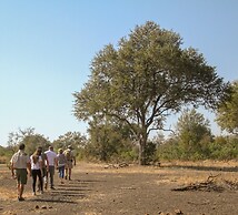 Elephant Plains Game Lodge
