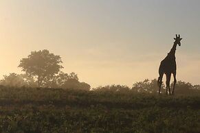 Elephant Plains Game Lodge