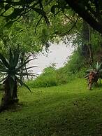 Elephant Plains Game Lodge