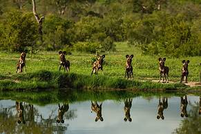 Elephant Plains Game Lodge