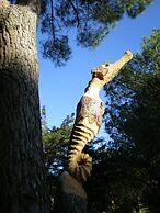 Camping Le Sainte Marie