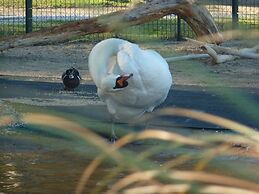 Camping Le Sainte Marie