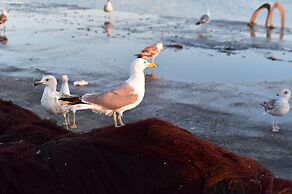 Mercearia d'Alegria Boutique B&B