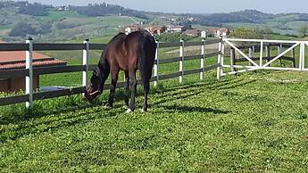Allevamento B&B