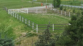 Allevamento B&B