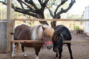Paradisio Baby and Kinder Hotel