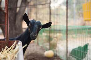 Paradisio Baby and Kinder Hotel