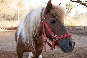 Paradisio Baby and Kinder Hotel