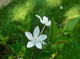 Pension les 3 cascades