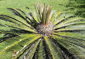 Pension les 3 cascades