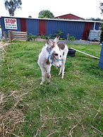 Glenavys Waitaki River Motor Camp - Caravan Park