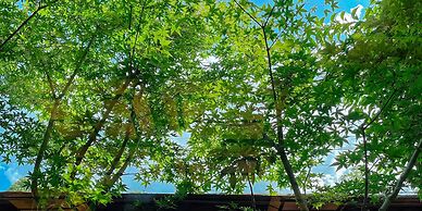 Kappo Ryokan Yumesaki