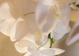 Quercia Belvedere Relais