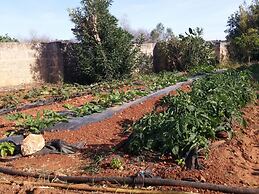 Agriturismo Il Trappeto