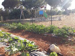 Agriturismo Il Trappeto