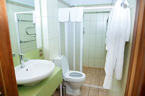 Guest House Blizhnie Dubki