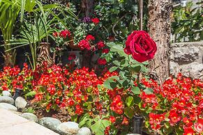 Villa Roses Apartments & Wellness