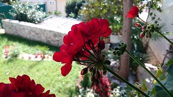 Villa Roses Apartments & Wellness