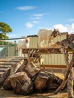 Wallaroo Holiday Park