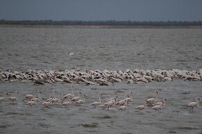 Pelican Lodge and Camping