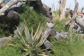 Pelican Lodge and Camping