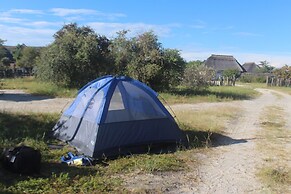 Pelican Lodge and Camping