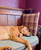 The Baiting House and Lodges