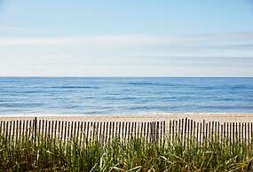 Marram