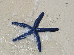 Kokopo Beach Bungalow Resort