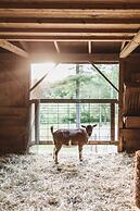 The Squire Tarbox Inn