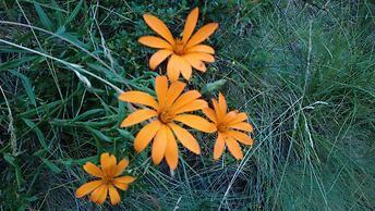 Hosteria Pampa Linda