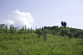 Oasi di Galbusera Bianca