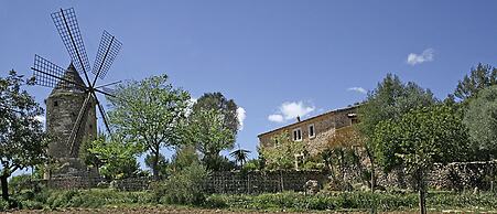 Agroturismo Es Molí de Son Maiol