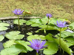 Nai Harn Baan-Bua Villas