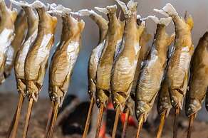 Kinugawa Onsen Nikko Kinugawa Hotel Mikazuki