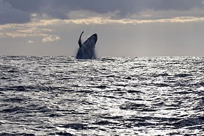 Rhino Coast Guest House