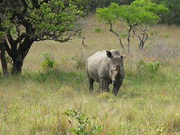 Rhino Coast Guest House