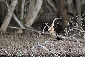 Rhino Coast Guest House