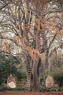 Montpellier De Tulbagh