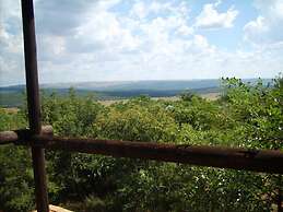 Thirsty Falls Guest Farm