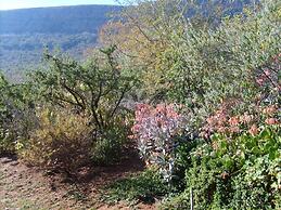 Thirsty Falls Guest Farm