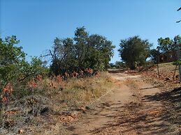Thirsty Falls Guest Farm