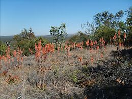 Thirsty Falls Guest Farm