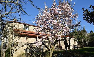 Casa Rural Os Carballos