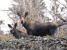 Big Intervale Fishing Lodge